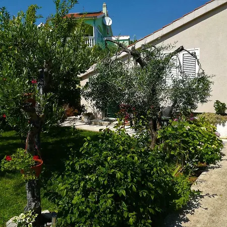 Olive Grove Apartment Vodice Exterior photo