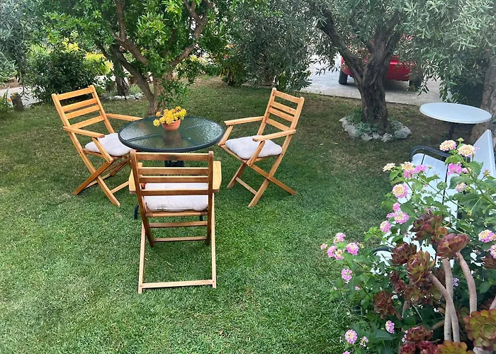 Olive Grove