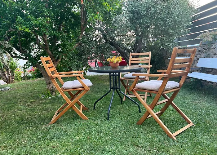 Olive Grove