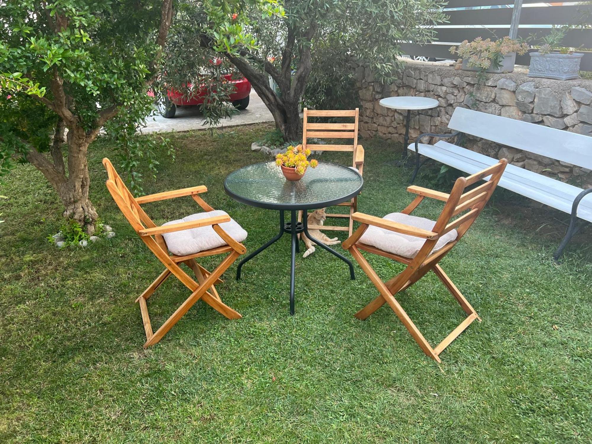 Olive Grove * Vodice