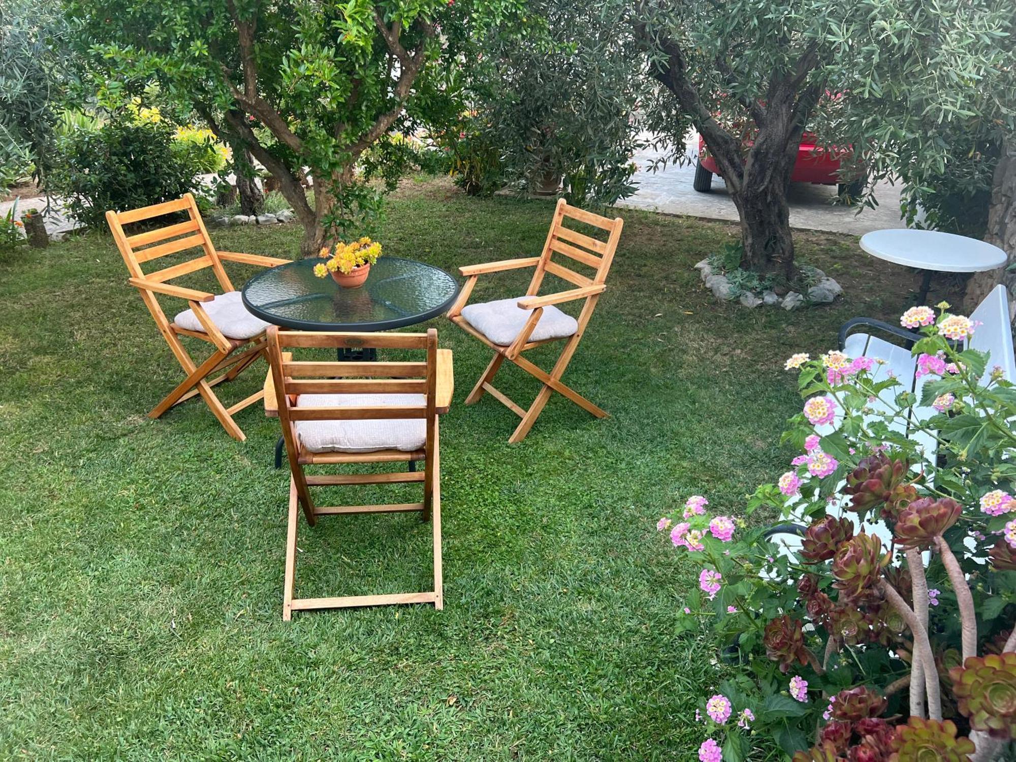 Olive Grove Vodice
