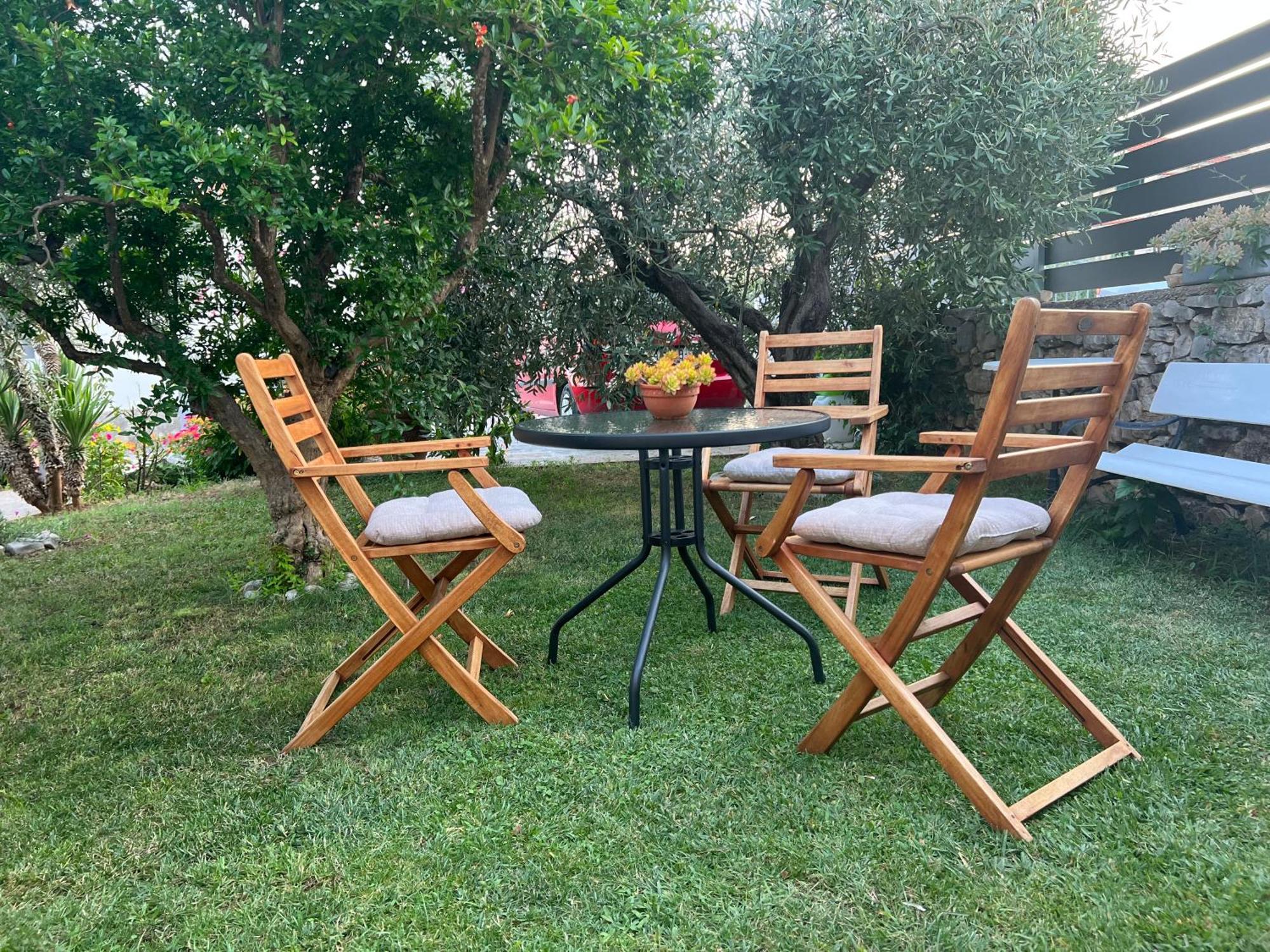 Olive Grove * Vodice