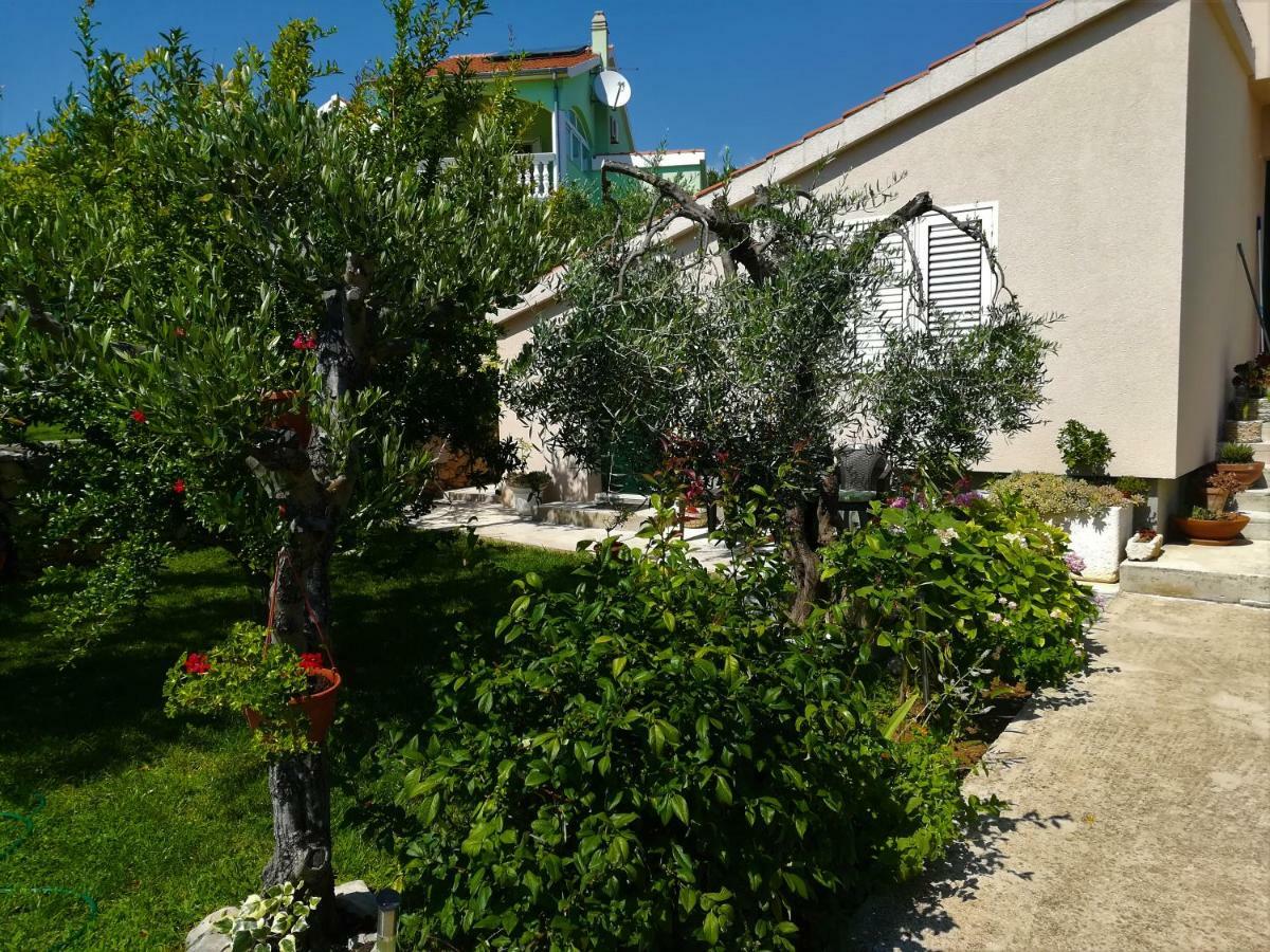 Apartment Olive Grove *